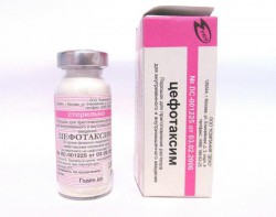 Цефотаксим пор. д/р-ра для в/в и в/м введ. 1 г 1 шт.