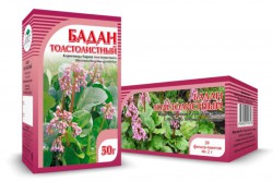 Бадана корневища 20 шт. ф/пак. 2 г