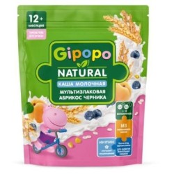 Каша молочная Gipopo мультизлаковая с кусочками абрикоса и черники с 12 мес 200 г
